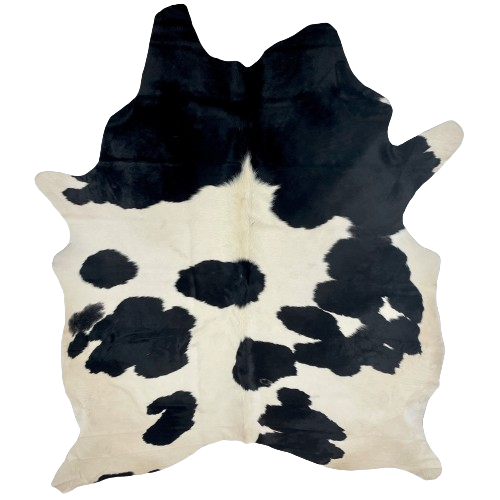 Large Off-White and Black Brazilian Cowhide:   off-white with large, black spots  - 7'9" x 5'11" (BRBKW262)