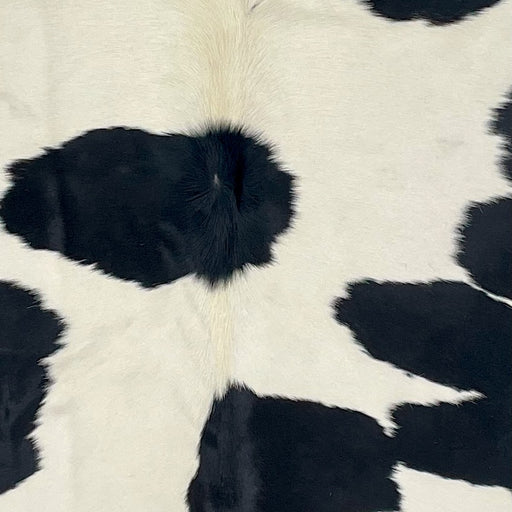 Closeup of this Large,  Brazilian Cowhide, showing off-white with large, black spots (BRBKW262)