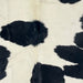 Closeup of this Large,  Brazilian Cowhide, showing off-white with large, black spots (BRBKW262)