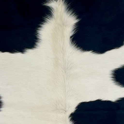 Closeup of this XL, Brazilian Cowhide, showing white with large, black spots (BRBKW263)