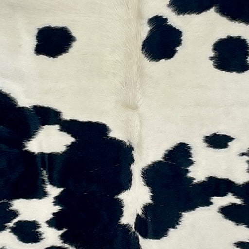 Closeup of this Brazilian Cowhide, showing white with small and large, black spots (BRBKW264)
