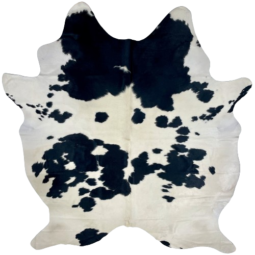 White and Black Brazilian Cowhide:  white with small and large, black spots - 6'11" x 5'9" (BRBKW264)