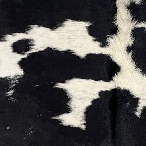 Closeup of this Brazilian Cowhide, showing white with black speckles and large and small, black spots (BRBKW265)