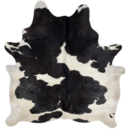 Black and White Brazilian Cowhide:  white with large, black spots that have fine, white speckles - 6'8" x x5'11" (BRBKW266)