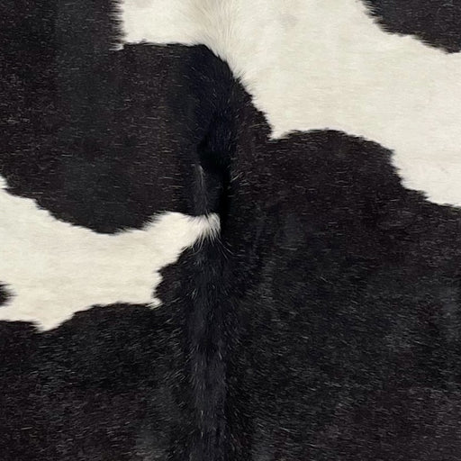 closeup of this Brazilian Cowhide, showing white with large, black spots that have fine, white speckles (BRBKW266)