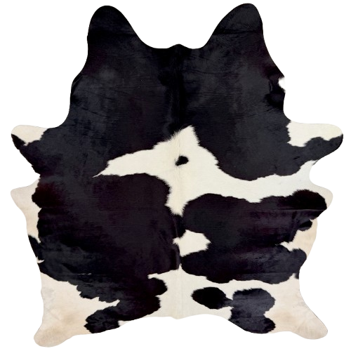 Black and White Brazilian Cowhide: white with large and small, black spots, and off-white on the belly and hind shanks - 7'3" x 6' (BRBKW283)