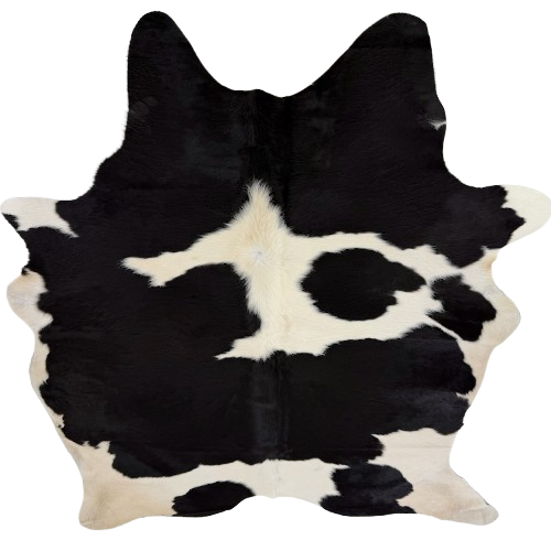 Black and Off-White Brazilian Cowhide:  off-white with black spots, and long hair down the middle of the shoulder and on the belly - 7'5" x 6'2" (BRBKW285)