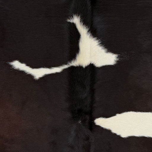 Closeup of this Brazilian Cowhide, showing white with black spots, and hints of dark brown mixed in on the back  (BRBKW286)