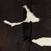 Closeup of this Brazilian Cowhide, showing white with black spots, and hints of dark brown mixed in on the back  (BRBKW286)