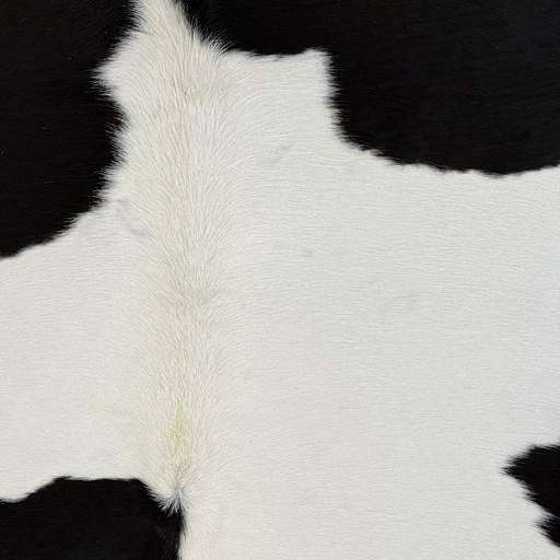 Closeup of this Large Brazilian Cowhide, showing white with small and large, black spots (BRBKW287)