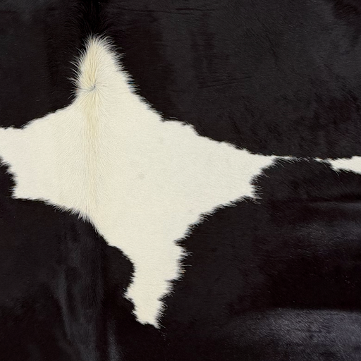 Closeup of this Large Brazilian Cowhide, showing white with large, black spots   (BRBKW288) 