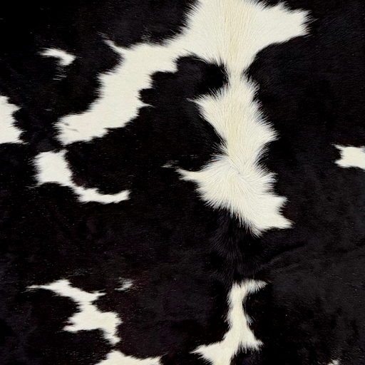 Closeup of this Large Brazilian Cowhide, showing white with small and large, black spots ( BRBKW290)
