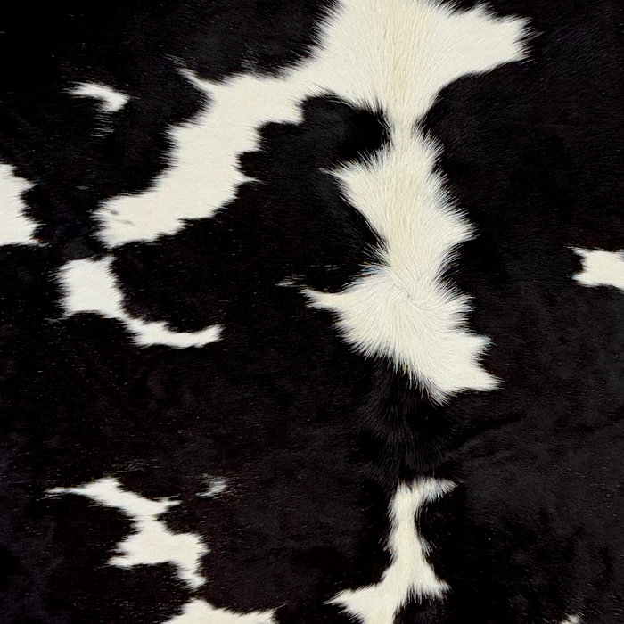 Closeup of this Large Brazilian Cowhide, showing white with small and large, black spots ( BRBKW290)