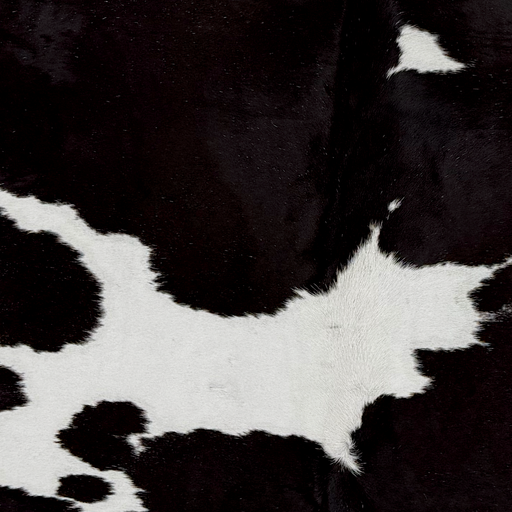 Closeup of this Large Brazilian Cowhide, showing black with large and small, white spots (BRBKW291)