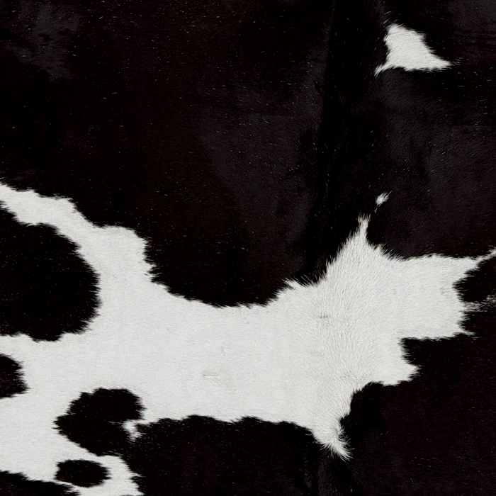 Closeup of this Large Brazilian Cowhide, showing black with large and small, white spots (BRBKW291)