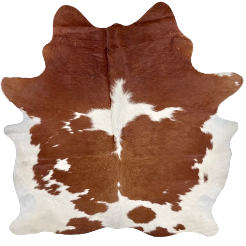 Reddish Brown and White Brazilian Cowhide: white with large and small, reddish brown spots - 6'7" x 5'8" (BRBNW360)