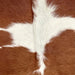 Closeup of this Brazilian Cowhide, showing white with large and small, reddish brown spots (BRBNW360)