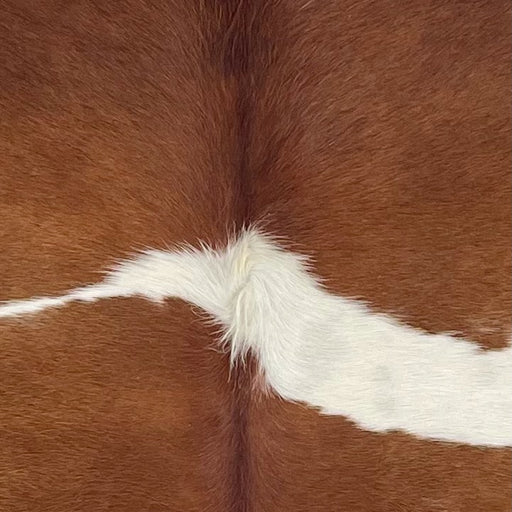 Closeup of this Brazilian Cowhide, showing reddish brown with a white spot across the middle (BRBNW361)