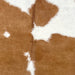 Closeup of this Brazilian Cowhide, showing white with large, brown spots (BRBNW363)