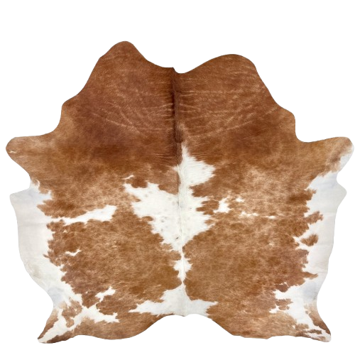 Brown and White Brazilian Cowhide: brown with large and small, white spots and white on the belly - 7'4" x 6'6" (BRBNW365)