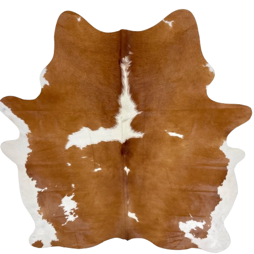 Brown and White Brazilian Cowhide: brown with small and large, white spots, and white on the belly and hind shanks - 7'5" x 6'1" (BRBNW366)
