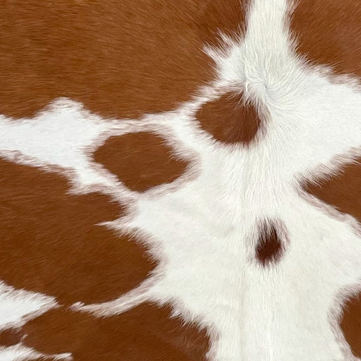 Closeup of this Brazilian Cowhide, showing white with large and small, brown spots (BRBNW367)