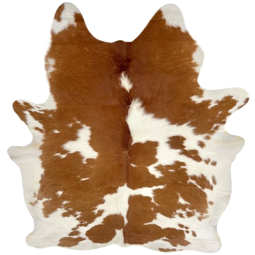 Brown and White Brazilian Cowhide: white with large and small, brown spots, and longer hair down the spine and on the belly - 7'3" x 5'8" (BRBNW371)