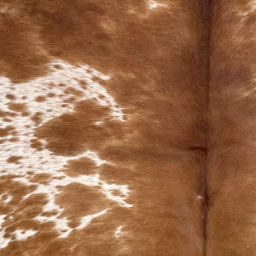 Closeup of this Speckled Brazilian Cowhide, showing white with brown speckles and spots, and solid brown down the middle (BRBNW372)