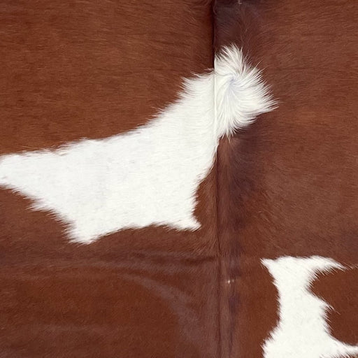 Closeup of this Large Brazilian Cowhide, showing brown with large, white spots  (BRBNW373)