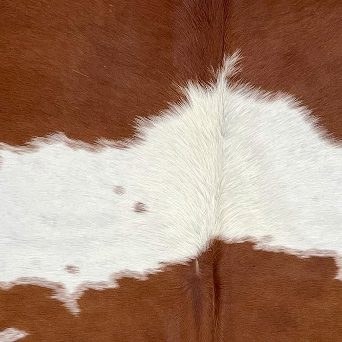 Closeup of this Brazilian Cowhide, showing white with large and small, brown spots  (BRBNW374)