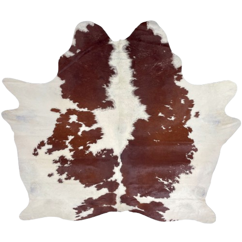 Large Brown and White Brazilian Cowhide: white with large and small, brown spots - 7'6" x 6'6" (BRBNW377)