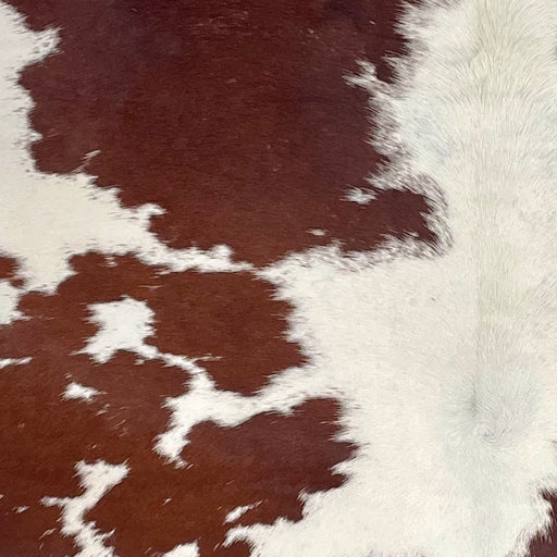 Closeup of this Large Brazilian Cowhide, showing white with large and small, brown spots (BRBNW377)