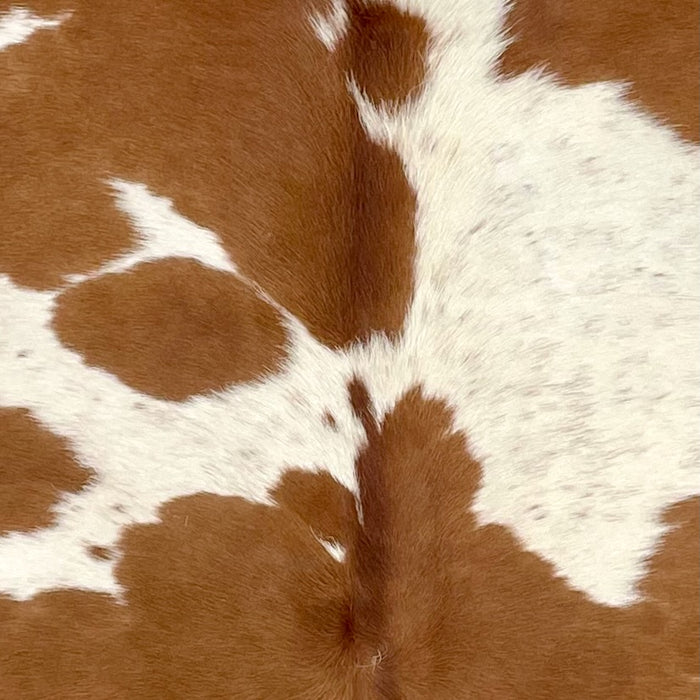 Closeup of this Speckled Brazilian Cowhide, showing ivory with brown speckles and large and small, brown spots  (BRBNW378)