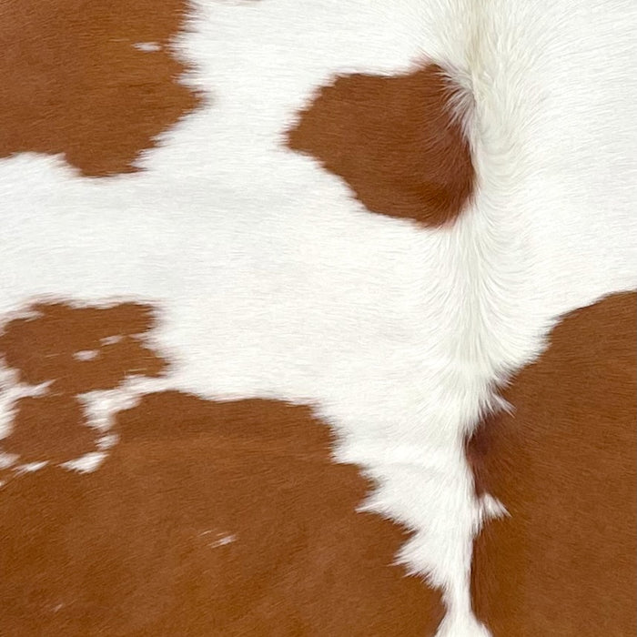 Closeup of this Brazilian Cowhide, showing white with large and small, brown spots  (BRBNW379)