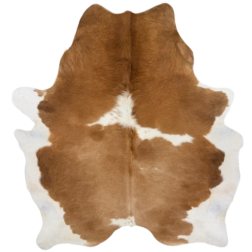 Brown and White Brazilian Cowhide: brown with a white spot in the middle, white on the belly, and longer hair down the middle of the shoulder and on the belly -  7'5" x 6'1"  (BRBNW393)