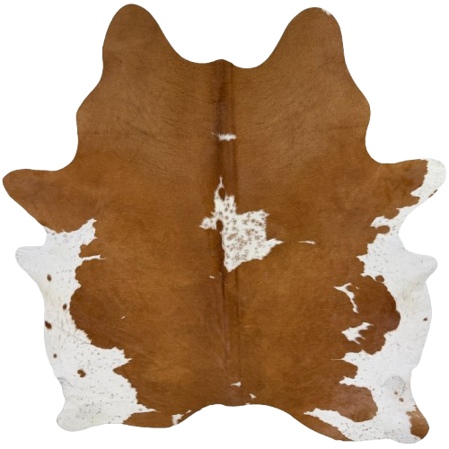 Brown and White Brazilian Cowhide:  brown with one white spot that has cloudy speckles, a few small, white spots, and white with brown speckles on the belly - 7'5" x 6'2"  (BRBNW394)