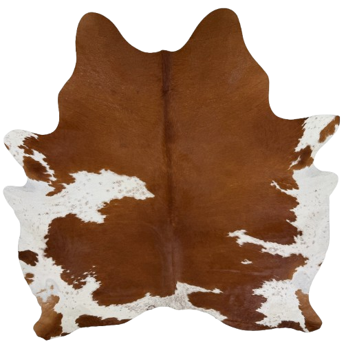 Brown and White Brazilian Cowhide:  brown with white spots that have brown speckles - 7'5" x 6'8" (BRBNW395)