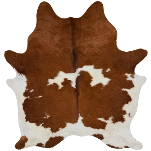 Reddish Brown and Off-White Brazilian Cowhide: reddish brown and off-white, with longer hair on the back, down part of the spine, and on the belly - 7' x 5'9" (BRBNW396)
