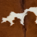 Closeup of this Brazilian Cowhide, showing reddish brown and off-white, with longer hair on the back and down part of the spine (BRBNW396)