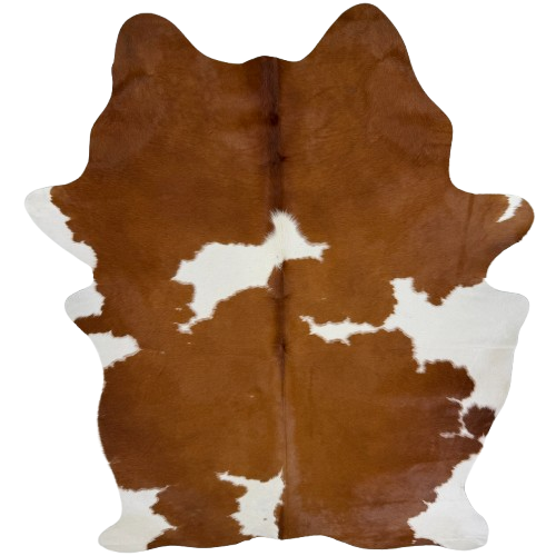 Brown and White Brazilian Cowhide:  brown with white spots - 7'4" x 5'2" (BRBNW397)
