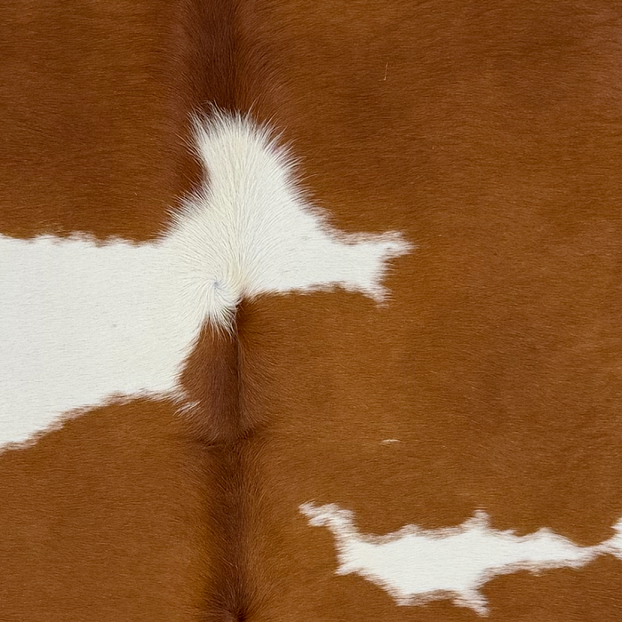 Closeup of this Brazilian Cowhide, showing brown with white spots (BRBNW397)