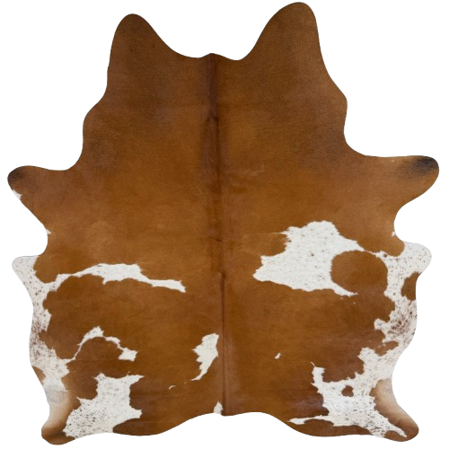 Brown and White Brazilian Cowhide:  brown with white spots that have brown speckles - 6'10" x 5'9"  (BRBNW398)
