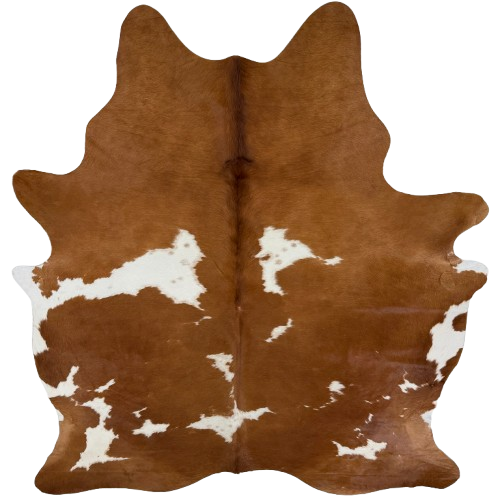Large Brown and White Brazilian Cowhide: brown with white spots, some having brown speckles - 7'8" x 6'2" (BRBNW399)