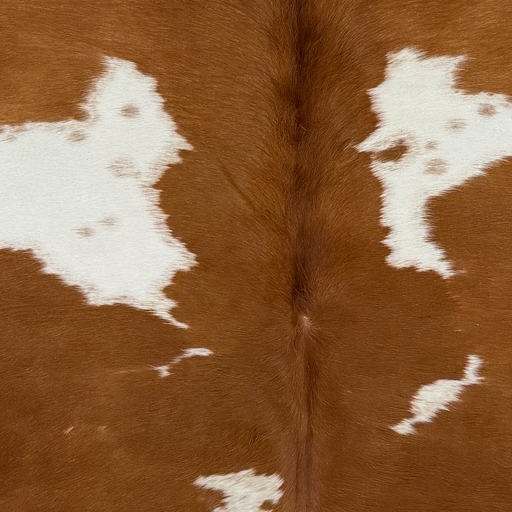 Closeup of this Large Brazilian Cowhide, showing brown with white spots, some having brown speckles (BRBNW399)
