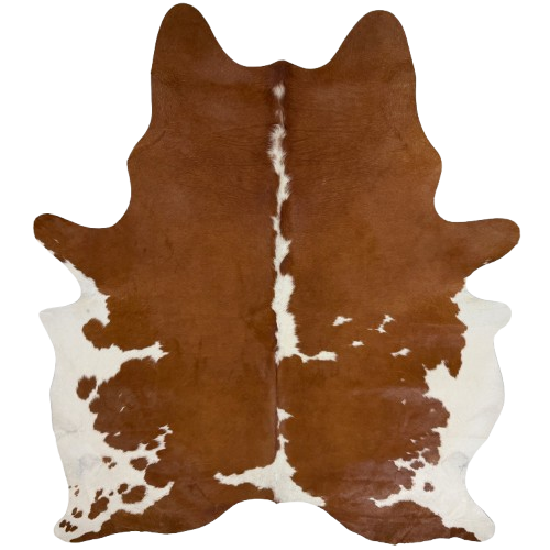 Large Brown and White Brazilian Cowhide: white with brown spots, and white on the belly - 7'9" x 6'2"  (BRBNW400)