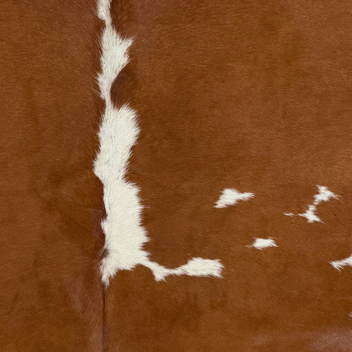 Closeup of this Large Brazilian Cowhide, showing white with brown spots (BRBNW400)