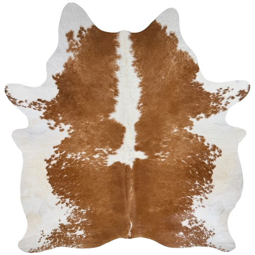 Large Brown and White Brazilian Cowhide:  brown with small and large, white spots, and white on the belly - 7'6" x 6'5"  (BRBNW401)