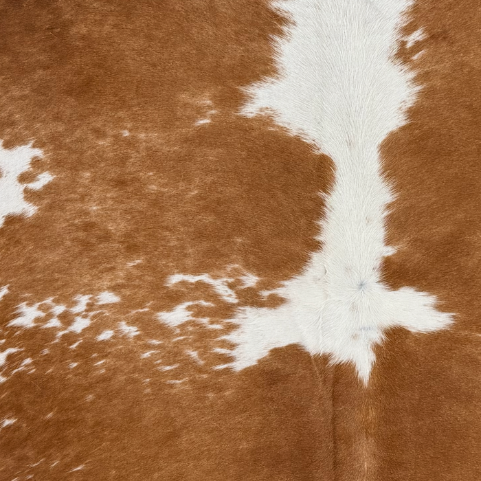 Closeup of this Large Brazilian Cowhide, showing brown with small and large, white spots (BRBNW401)