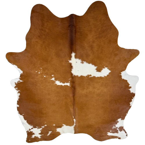 Brown and White Brazilian Cowhide: brown with white spots - 7'3" x 5'7"  (BRBNW402)