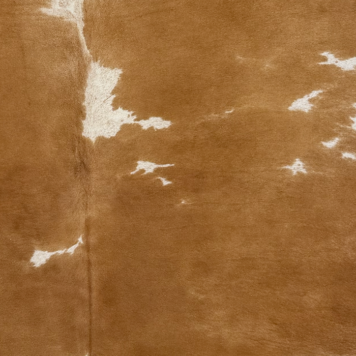 Closeup of this Brazilian Cowhide, showing brown and white spots that have brown speckles (BRBNW403)